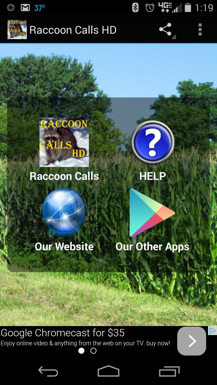 Raccoon Calls HD