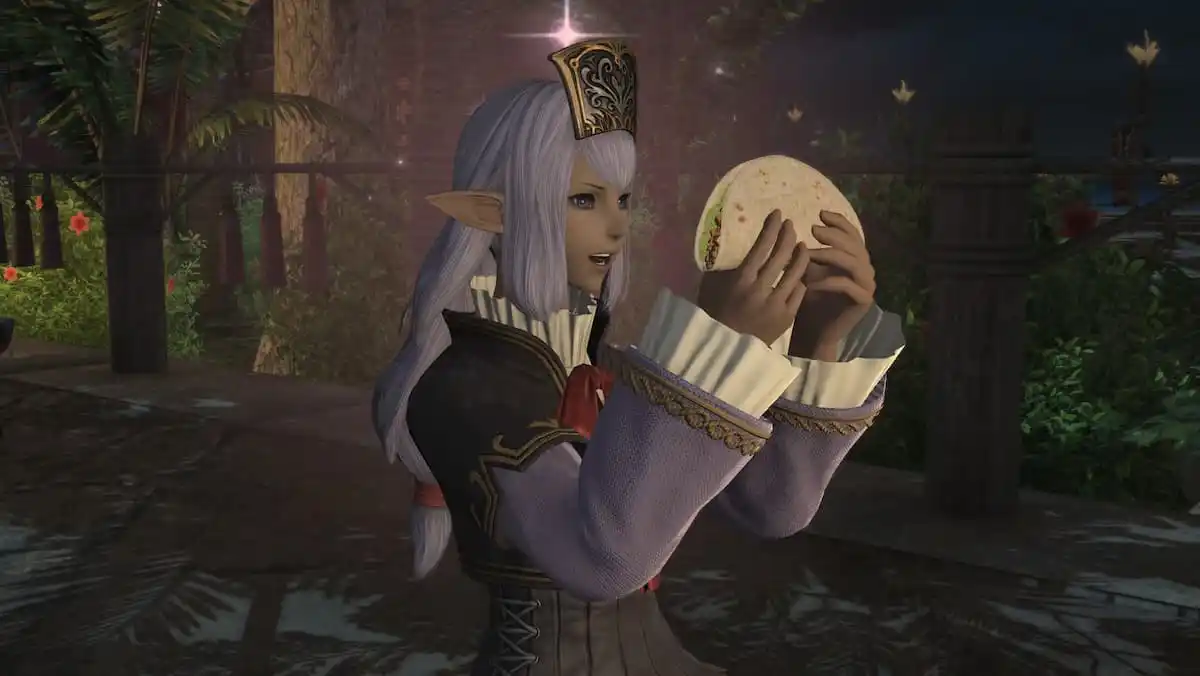 ffxiv：vana'dielのエコーは私をノスタルジックにします＆私はffxiをプレイしません