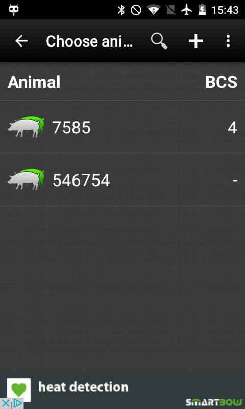 BCS Pig