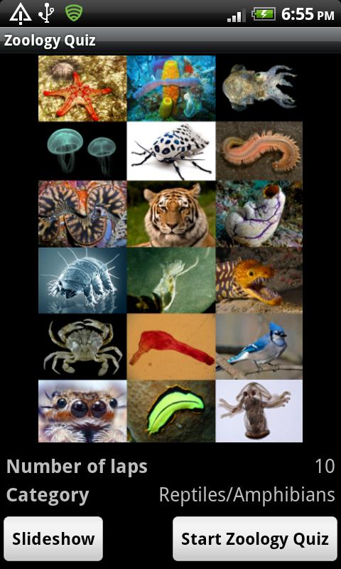 Zoology Quiz
