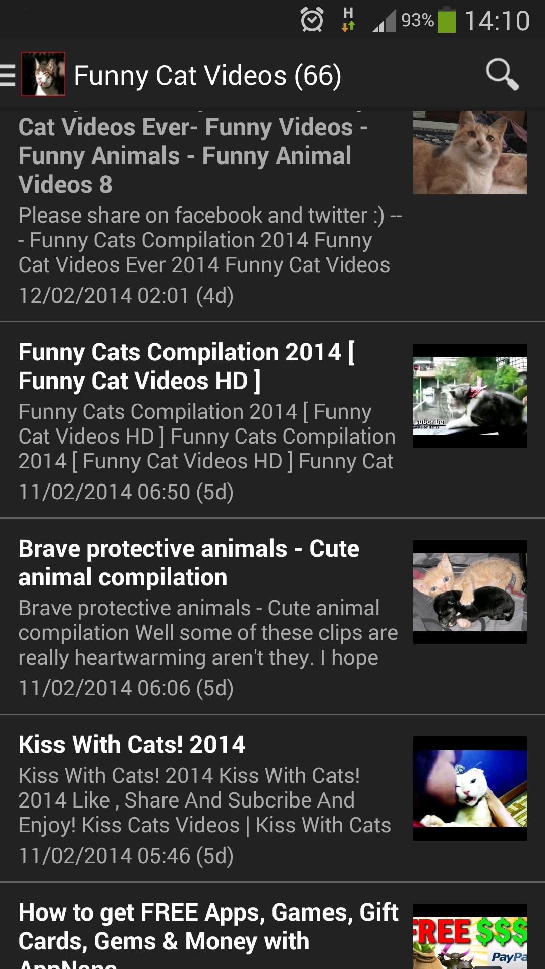Funny Cat Videos