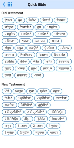 Punjabi Bible Offline