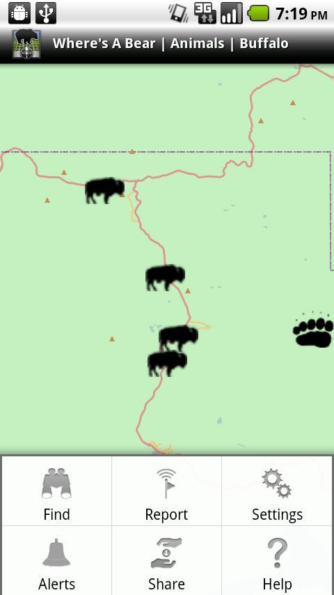 Where's A Bear Lite