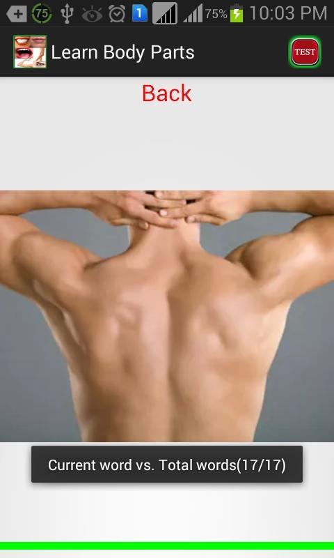 Learn Body Parts