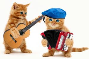 Talking Cats