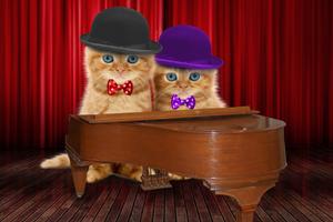 Talking Cats