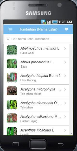 Kamus Taksonomi Tumbuhan