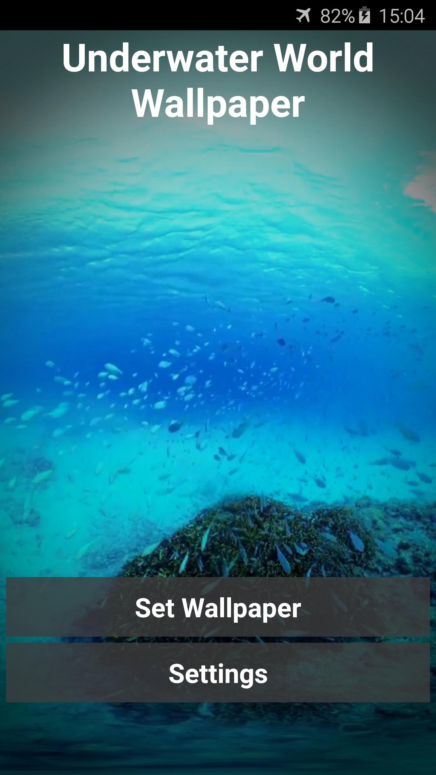 Underwater Video Wallpaper