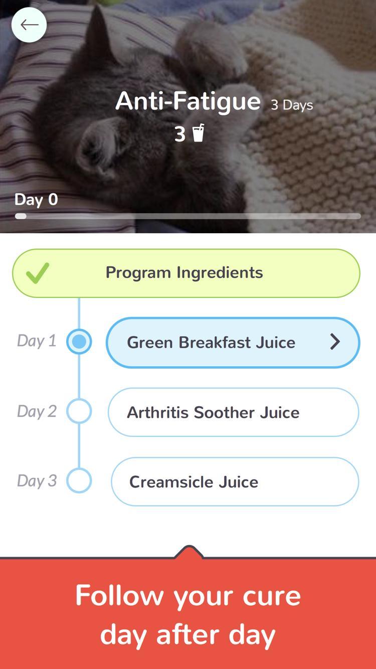 Vesta - Detox Juice Cures