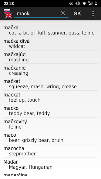 Slovak - English offline dict.