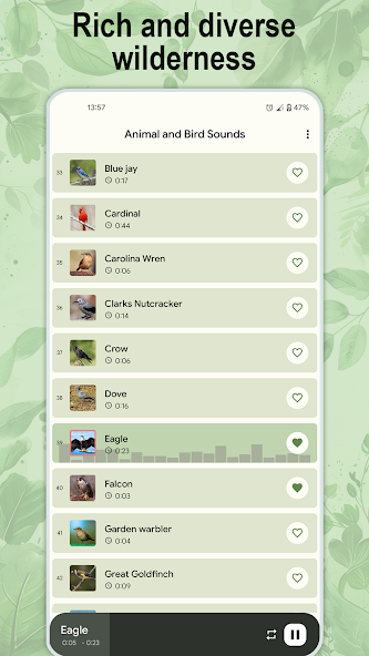 Animal and bird sounds