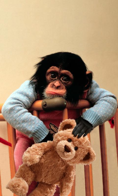 Baby Monkey Cute Wallpaper