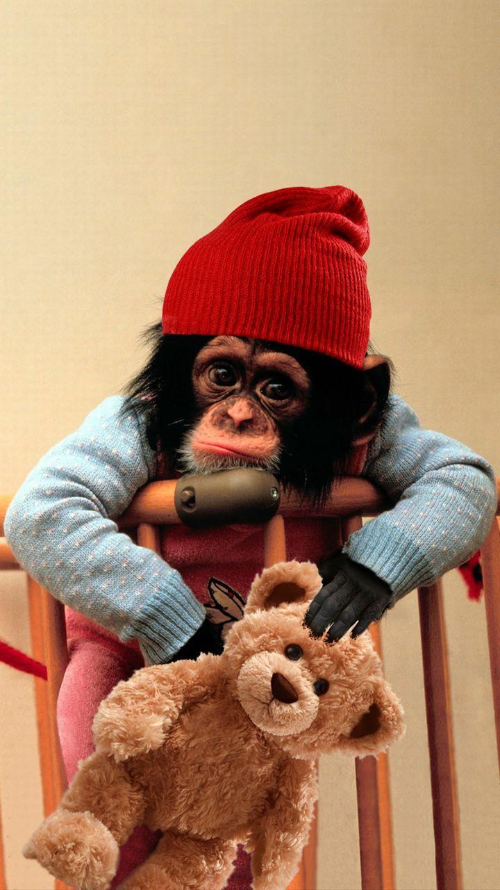 Baby Monkey Cute Wallpaper