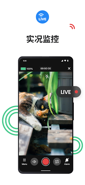 Surveillance Camera: Visory