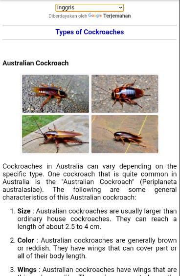 how to repel cockroaches