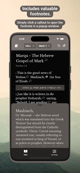 Hebrew Gospels