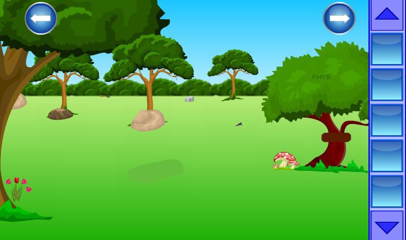 Flying Pony Escape from Witch