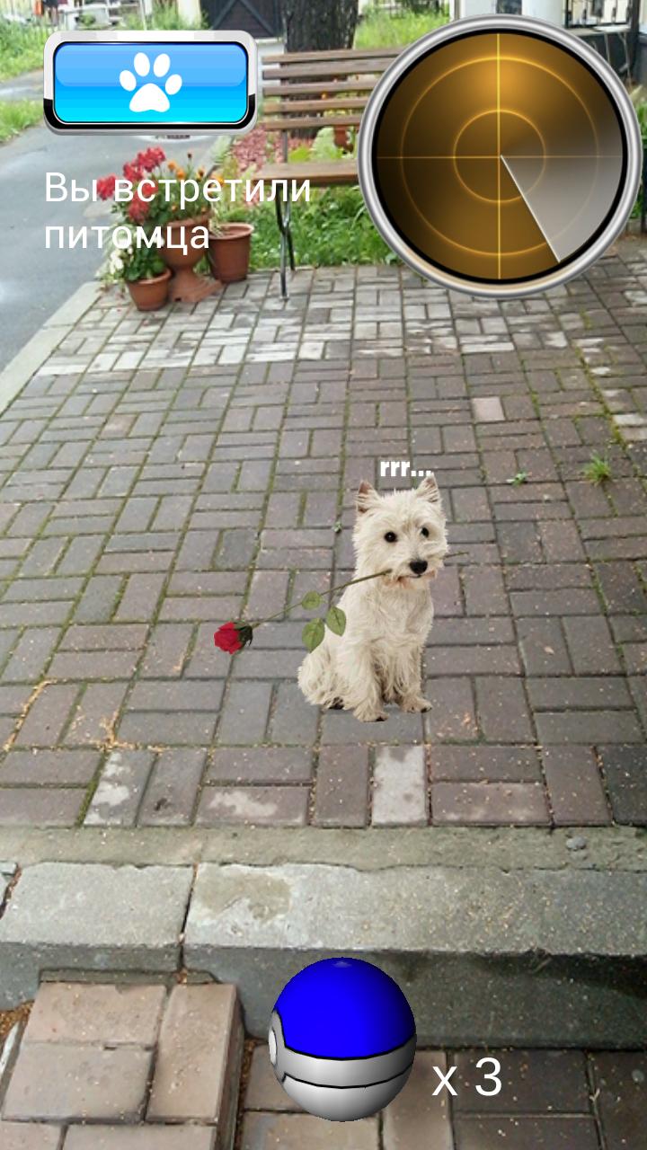 Pokedog GO