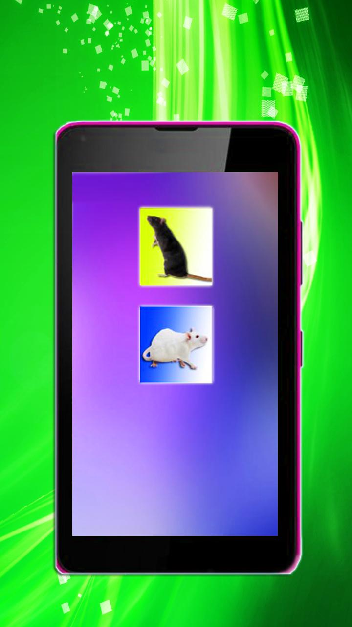 Rat On Screen Hand Simulator