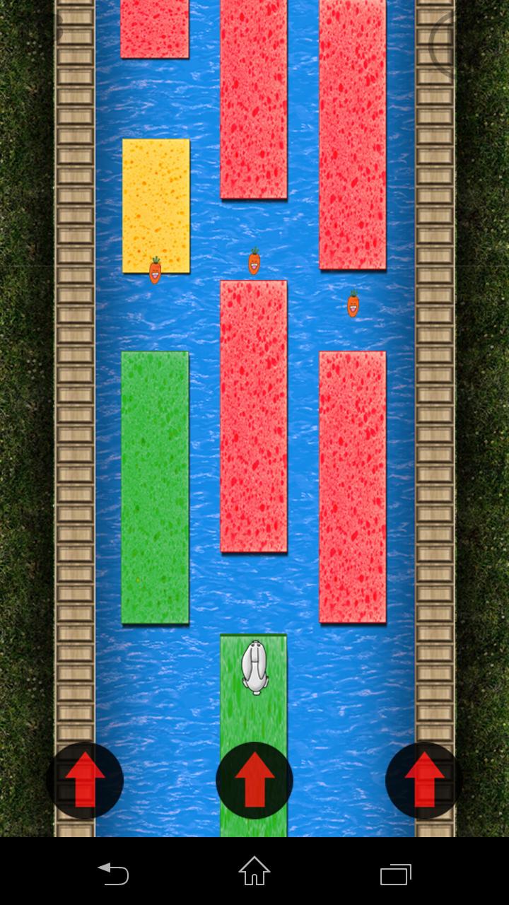 Runny Bunny Adventure