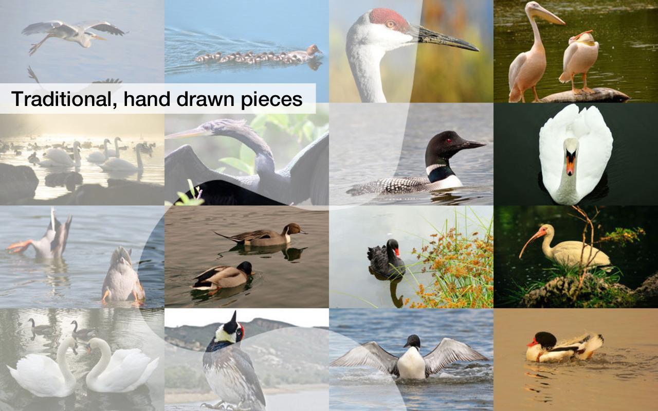Jigsaw Puzzles: Lake Birds