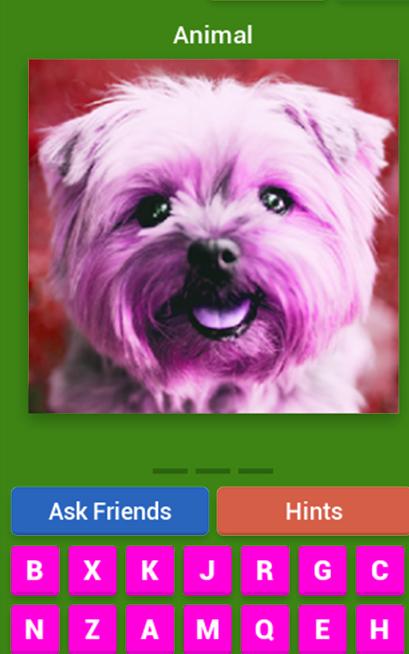 animals Quiz 2019-best Quiz 2019