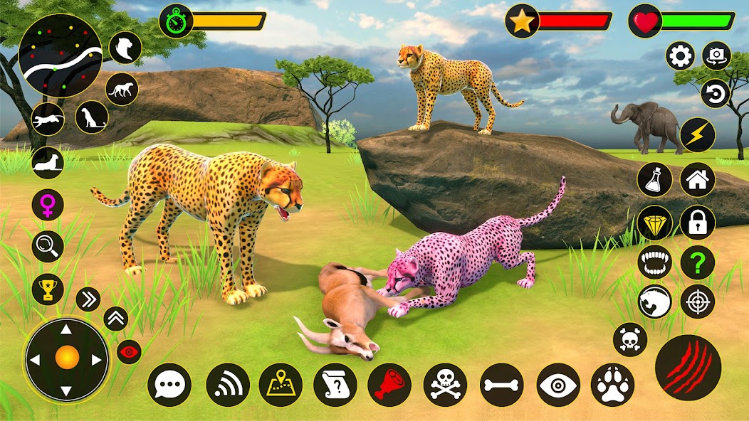 Cheetah Simulator Cheetah Game