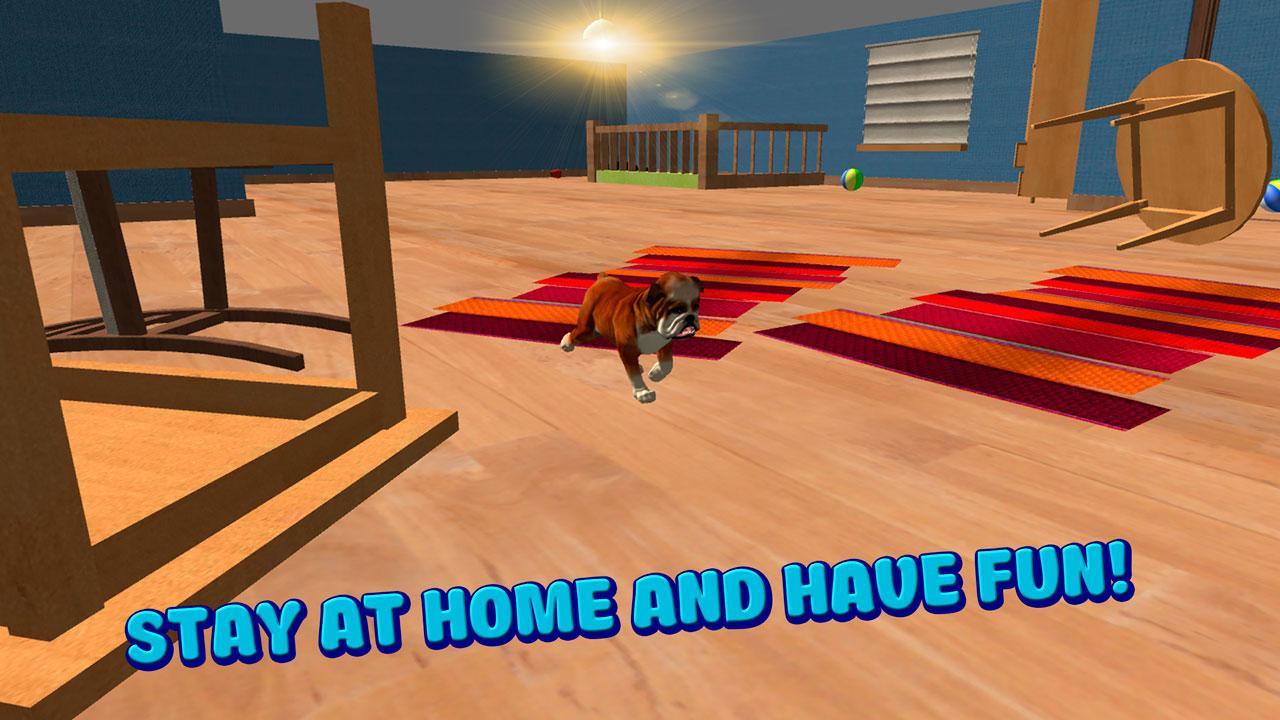 House Dog Simulator 3D